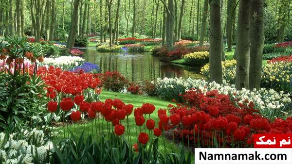 عکس طبیعت زیبا