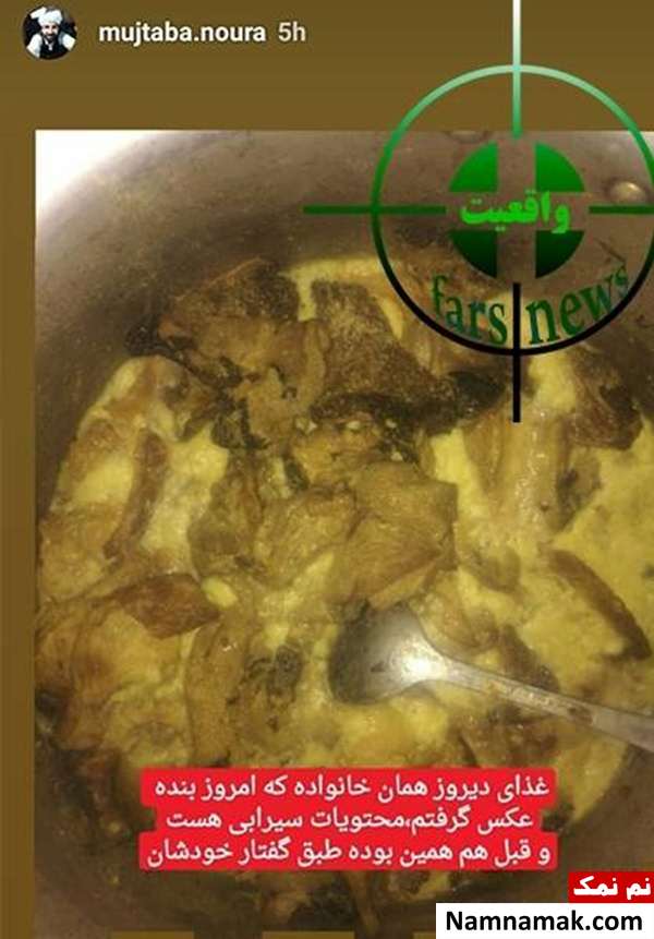 گوشت گربه
