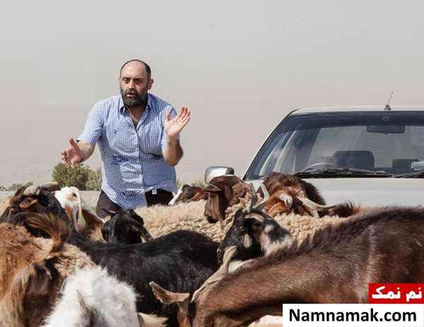 خلاصه داستان و بیوگرافی بازیگران فیلم آیس پک پیمان محسنی در فیلم آیس پک