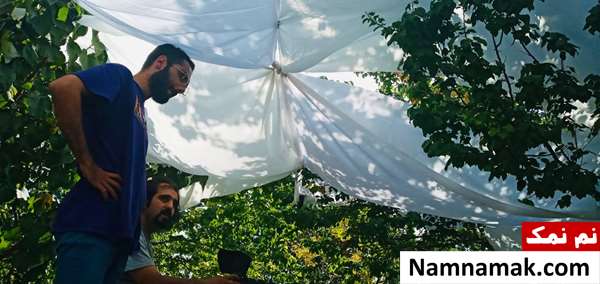 زندگینامه پوریا باقری و همسرش پوریا باقری