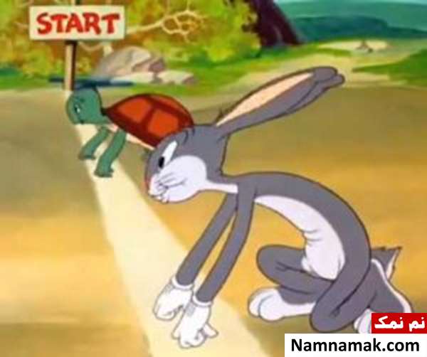 قصه کودکانه تصویری داستان خرگوش و لاک پشت