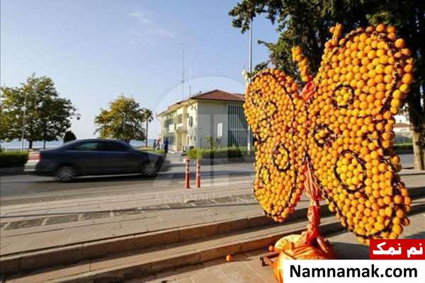 جشنواره مجسمه های ساخته شده با پرتقال و لیمو