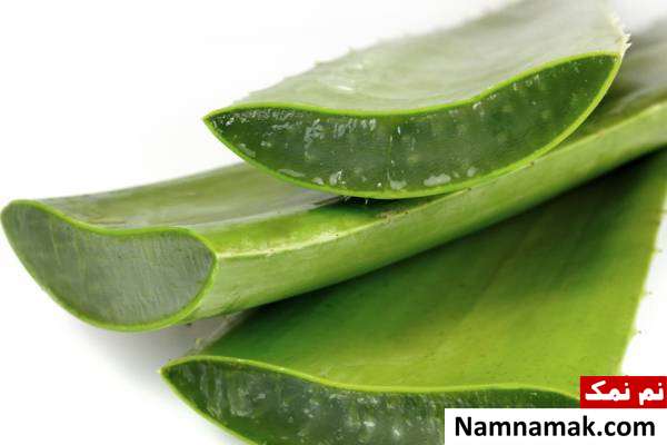 آلوئه ورا درمانی مناسب برای سوختگی سوختگی