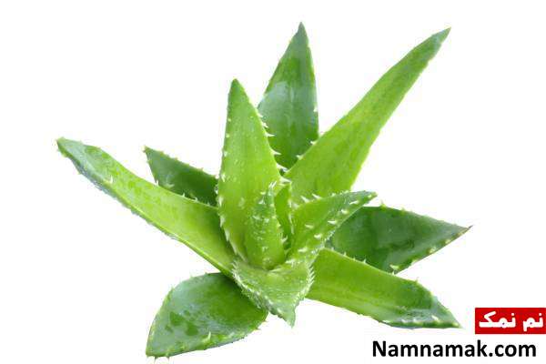 سوختگی با روغن داغ