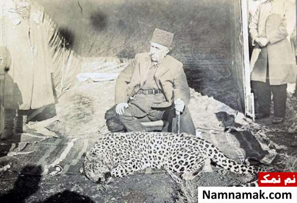 ایا ایران پلنگ برفی دارد تصویر شکار پلنگ توسط ناصر الدین شاه