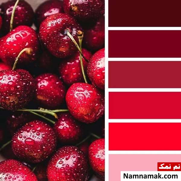 رنگ آلبالویی
