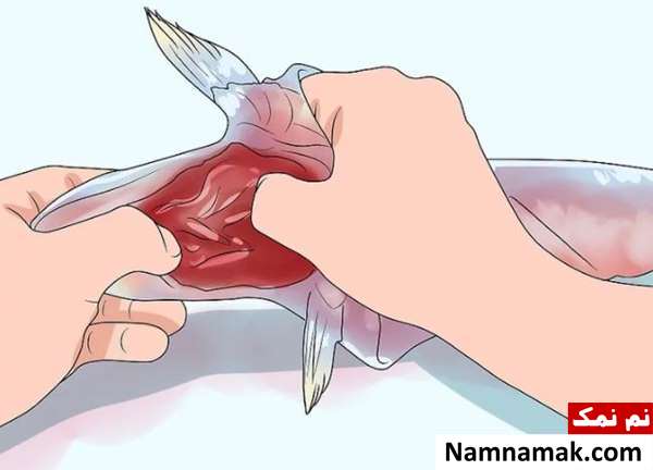  تمیز کردن و جدا کردن پوست و استخوان ماهی