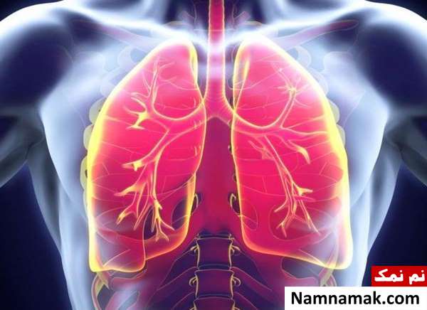 خواص و مضرات سیر 18 مهمترین علائم ذات الریه یا سینه پهلو در کودکان و سالمندان