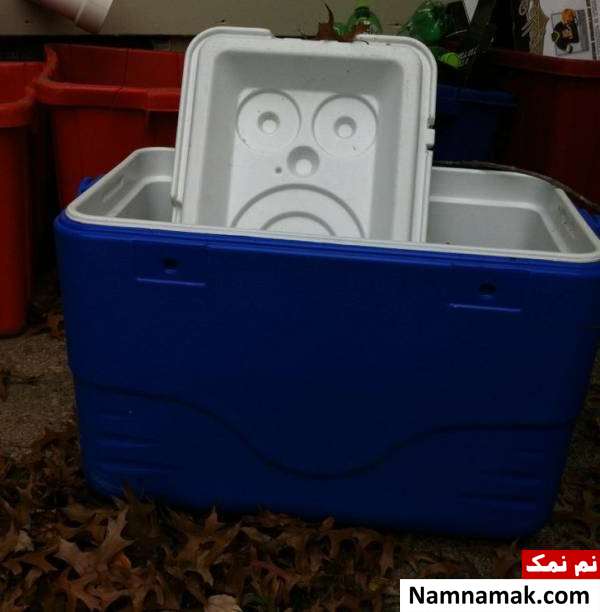 جمع کردن وسایل اضافی تصاویر جالب دنیا