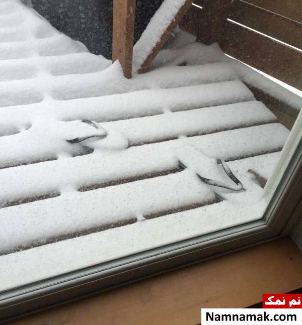 تصاویر خنده دار در مورد پایان تابستان تصاویر جالب درمورد پایان تابستان