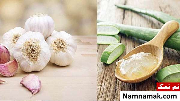 آلوئه ورا و سیر خاصیت آلوئه ورا و سیر برای سوزش اصلاح