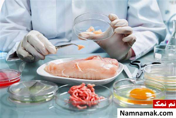 تشخیص غذاهای فاسد چگونه غذاهای فاسد را تشخیص دهیم