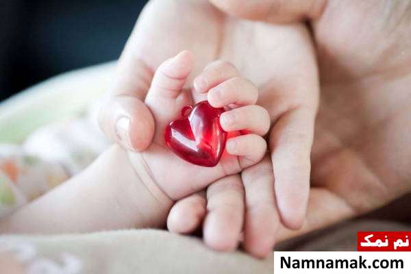 زمان تشکیل قلب جنین