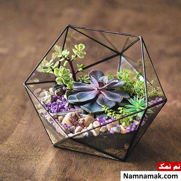 گلدان شیشه ای دکوری گلدان شیشه ای دکوری برای کاکتوس