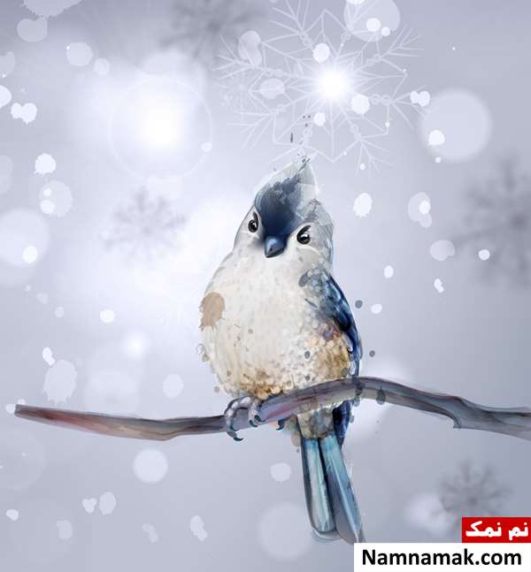 شعر در مورد پرندگان در زمستان و پاییز