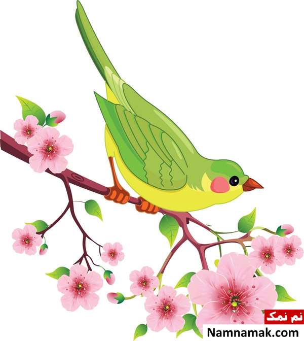 انشا صدای پرندگان در فصل بهار انشا صدای پرندگان در فصل بهار