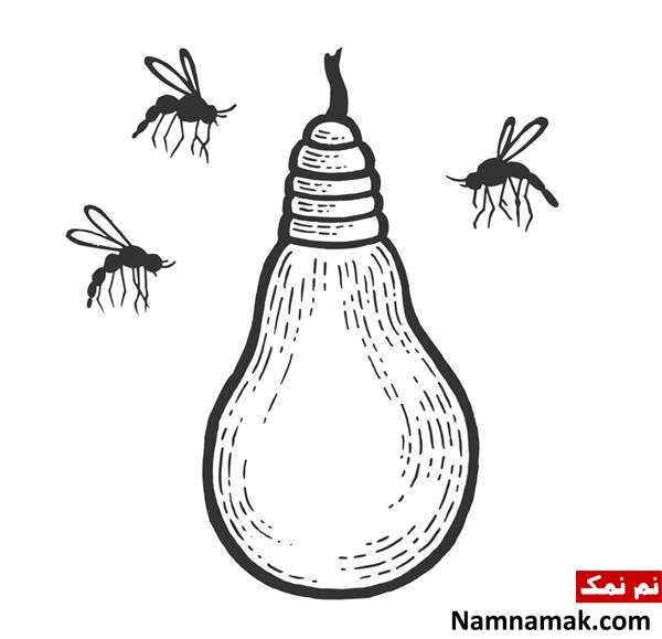 نور جذب کننده پشه نور جذب کننده پشه