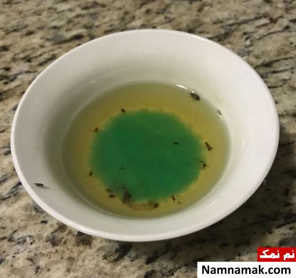 راهکار از بین بردن پشه در باغ و تالار راهکار از بین بردن پشه در باغ و تالار