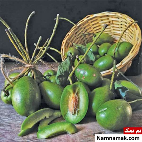 زیتون هندی چیست و چه کاربردی دارد؟