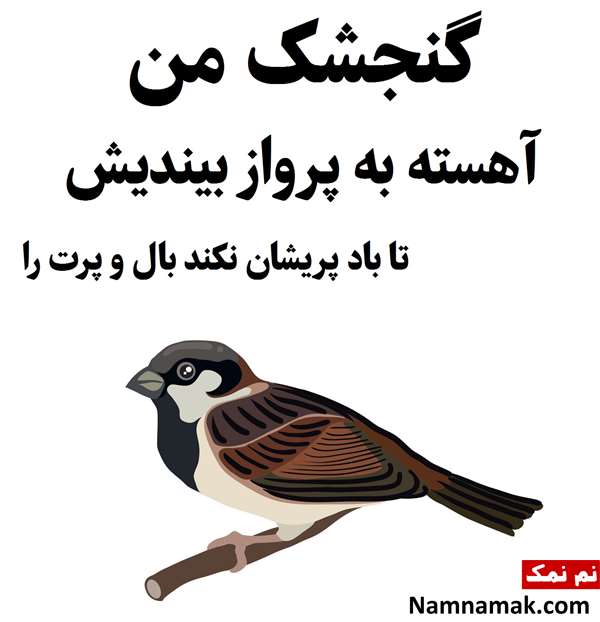 متن در مورد گنجشک