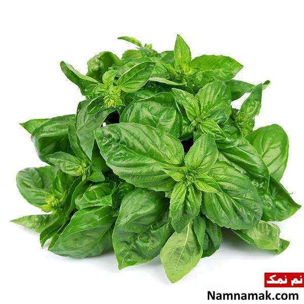 درمان پشه گزیدگی با برگ ریحان