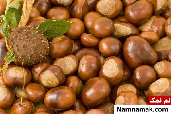 درمان پشه گزیدگی با فندق 