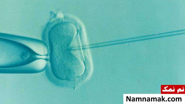 داروی IVF