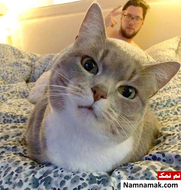 بازی سگ با پسر بچه سوژه های بامزه و خنده دار