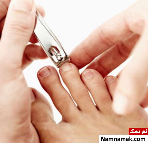 نحوه ناخن گرفتن از نظر علمی و شرعی نحوه ناخن گرفتن از نظر علمی و شرعی