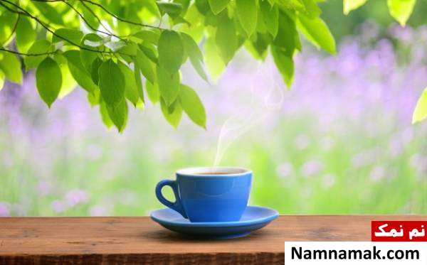 چای سبز برای گرم کردن بدن درمان خانگی سردی پاها