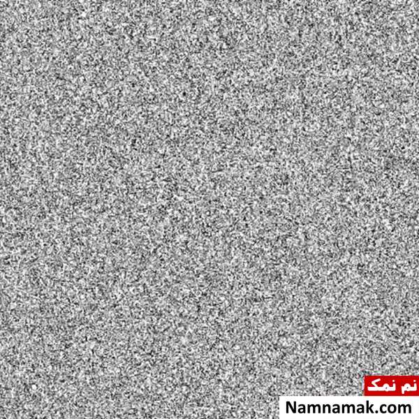 دانستنی های باحال