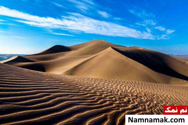 آیا میدانید های روز دنیا