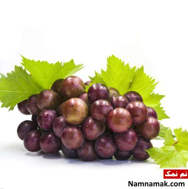 خواص انگور سیاه خواص و فواید انگور سیاه
