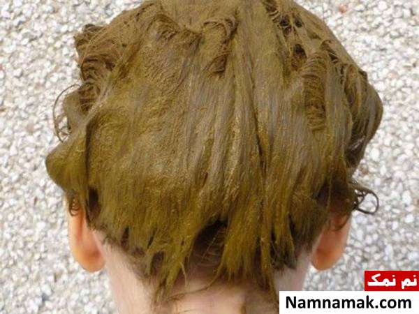 حنا برای ریزش مو آموزش حنا گرفتن موها