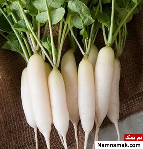 درمان مشکلات تیروئیدی با ترب سفید ترب سفید برای مشکلات تیروئیدی