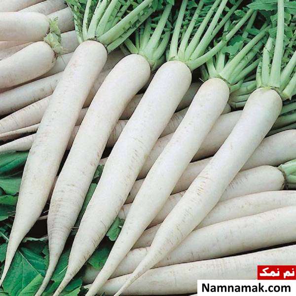 فواید ترب سفید ترب سفید و خواص و فوایدش