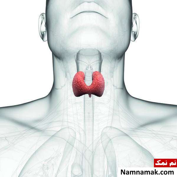 تیروئید چیست بیماری تیروئید