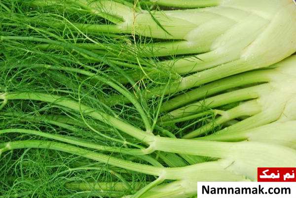 شوید چه خواصی دارد؟