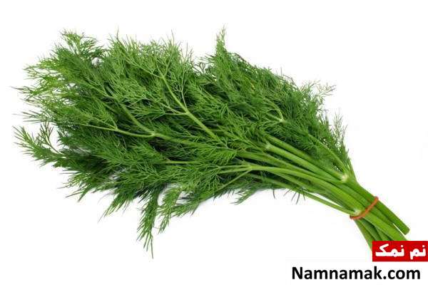 شوید چه فوایدی دارد؟