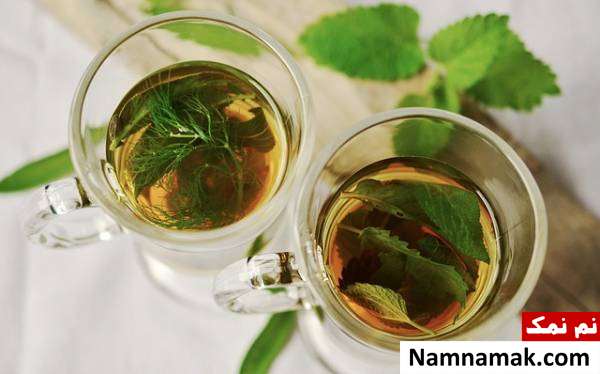 گیاهان دارویی پرورش گیاه دارویی در خانه