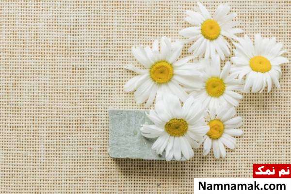 خواص بابونه پرورش گیاهان دارویی در گلخانه