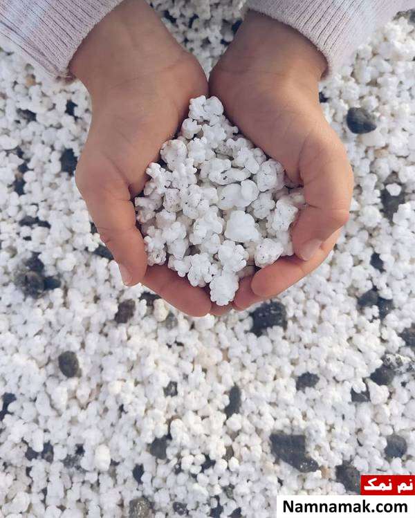 جزیره ای که در آن پاپ کورن وجود دارد