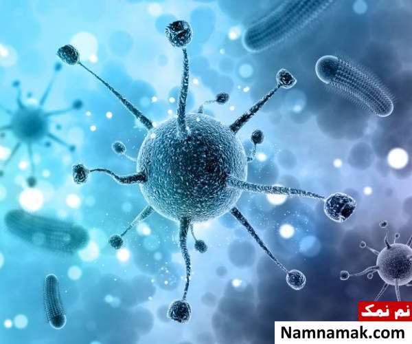 کوچک ترین سلول بدن انسان