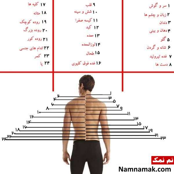 دلایل درد ستون فقرات نشانه های درد مهره های ستون فقرات