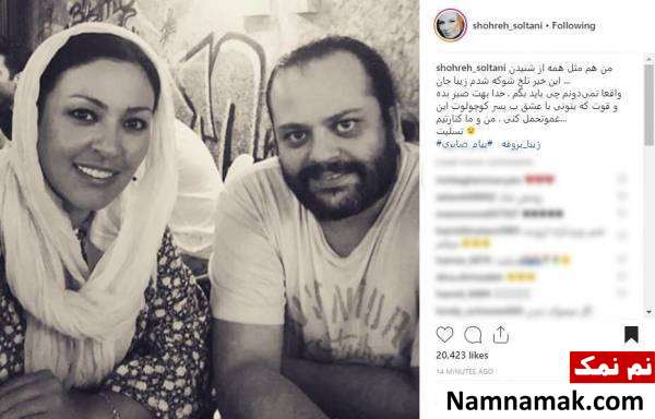 تسلیت هنرمندان برای درگذشت همسر زیبا بروفه