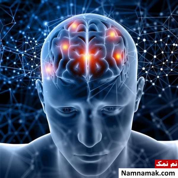 احساسات در مغز انسان