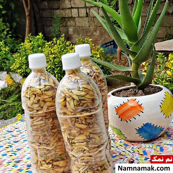 خواص و فواید باقلا خشک خواص و فواید باقلا خشک