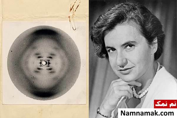 زنان فراموش شده تاریخ علم چه کسانی هستند؟ روزالیند فرانکلین(Rosalind Franklin)