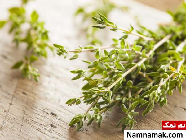 خواص آویشن در لاغری و چربی سوزی