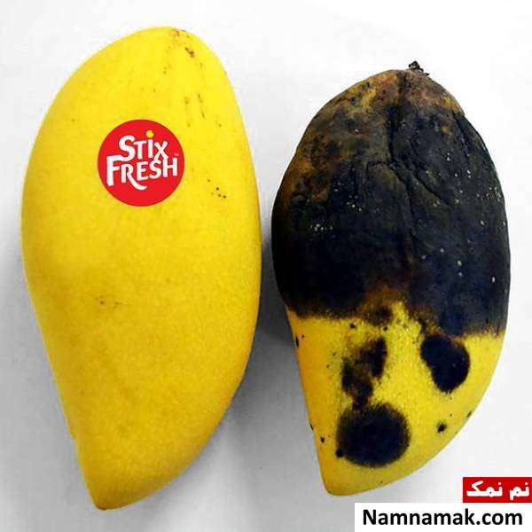 ساخت برچسب عجیب